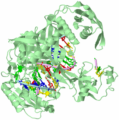 Image Biological Unit 2