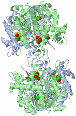 Image Biological Unit 1