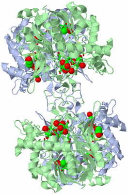 Image Biol. Unit 1 - sites