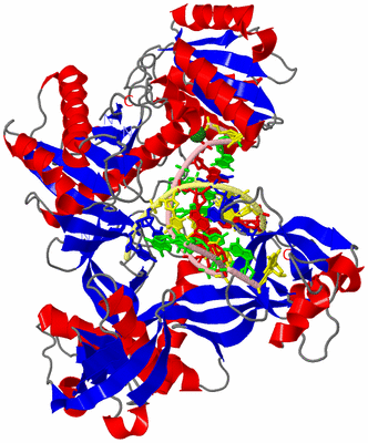 Image Asym./Biol. Unit