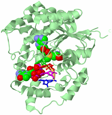 Image Biological Unit 1