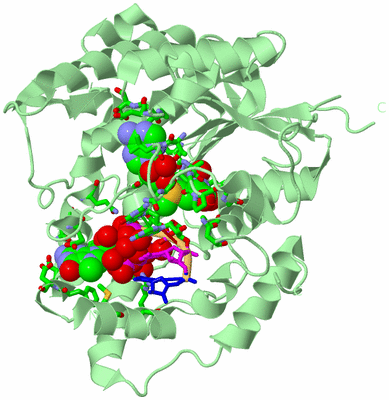 Image Biol. Unit 1 - sites