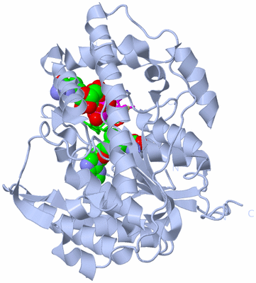 Image Biological Unit 2