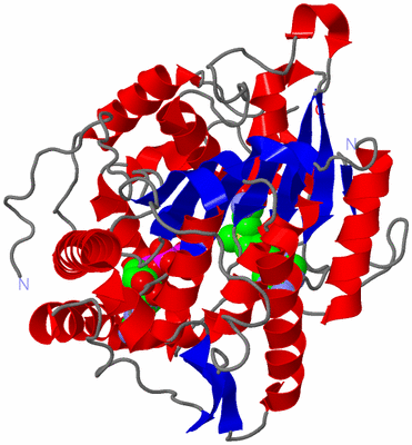 Image Asym./Biol. Unit