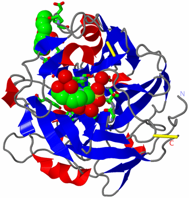 Image Asym./Biol. Unit - sites