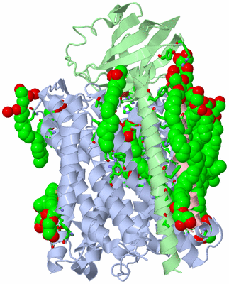 Image Asym./Biol. Unit - sites