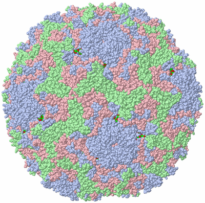 Image Biol. Unit 1 - sites