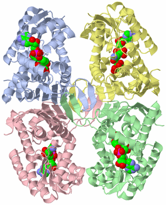 Image Asym./Biol. Unit