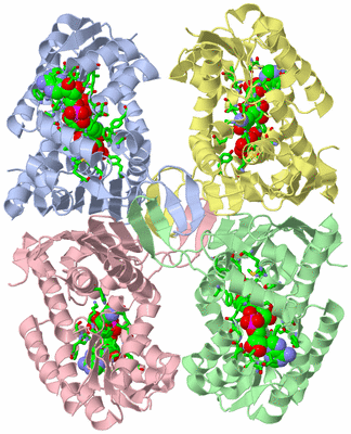 Image Asym./Biol. Unit - sites