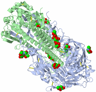 Image Biological Unit 1