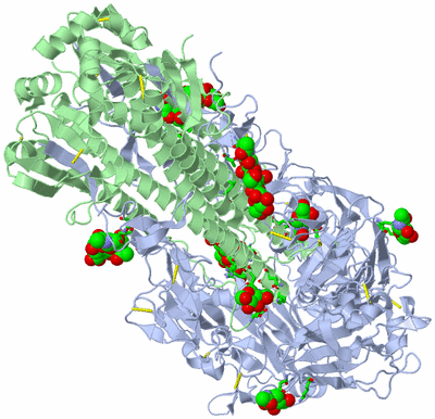 Image Biol. Unit 1 - sites