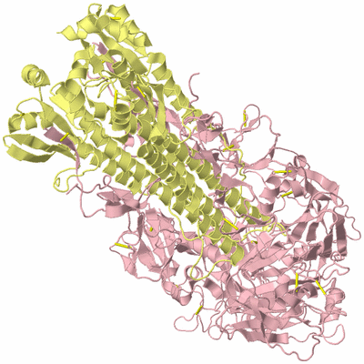 Image Biological Unit 2