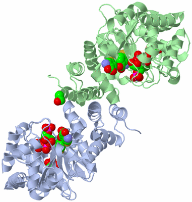 Image Asym./Biol. Unit