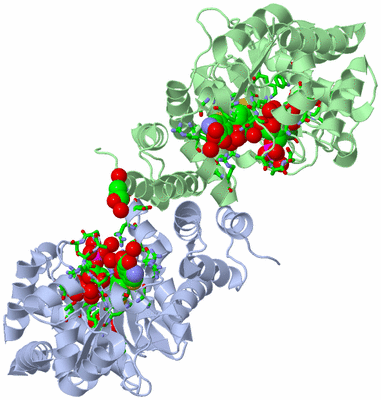 Image Asym./Biol. Unit - sites