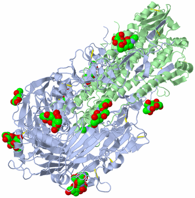 Image Biological Unit 1