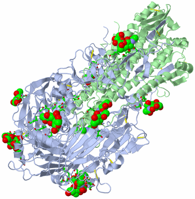 Image Biol. Unit 1 - sites