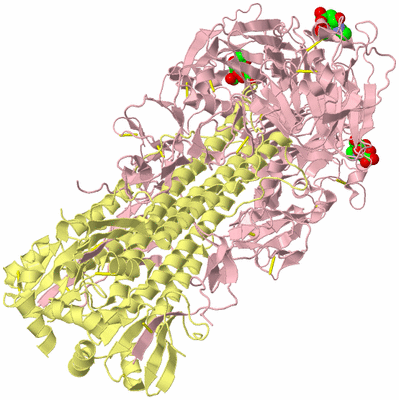 Image Biological Unit 2