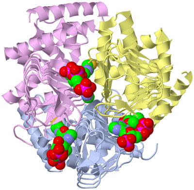 Image Biological Unit 1