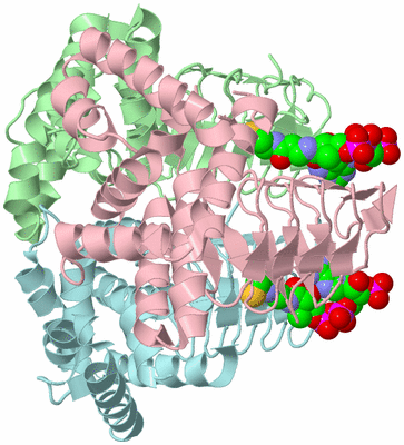 Image Biological Unit 2