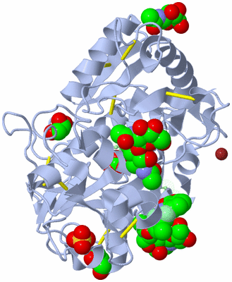 Image Asym./Biol. Unit