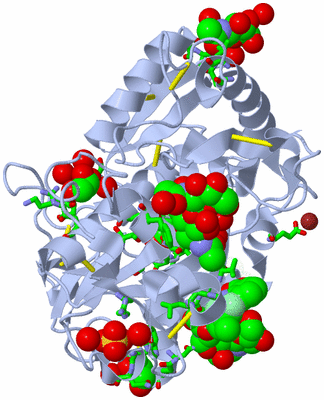 Image Asym./Biol. Unit - sites