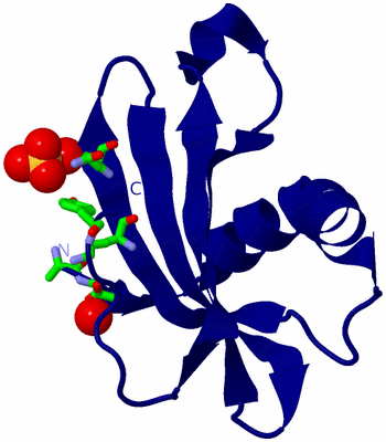 Image Biol. Unit 1 - sites