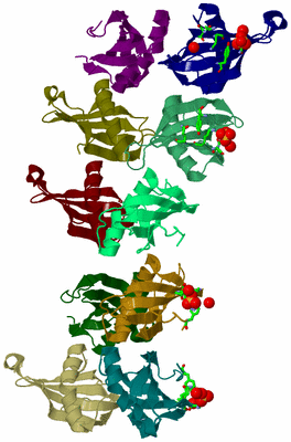 Image Asym. Unit - sites