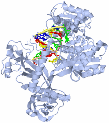 Image Biological Unit 1