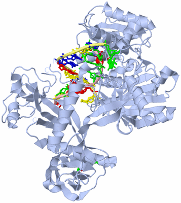 Image Biol. Unit 1 - sites