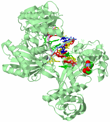 Image Biological Unit 2