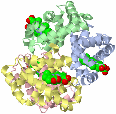 Image Biological Unit 1