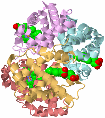 Image Biological Unit 2