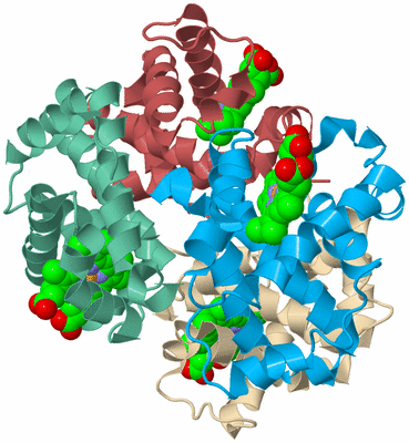 Image Biological Unit 3