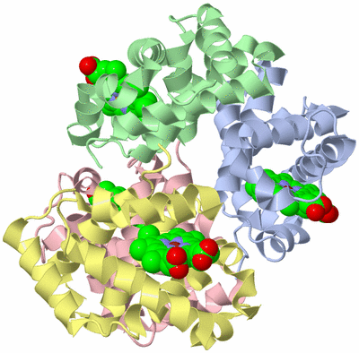 Image Biological Unit 1