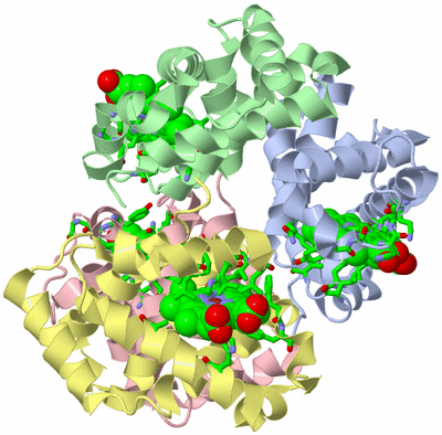 Image Biol. Unit 1 - sites