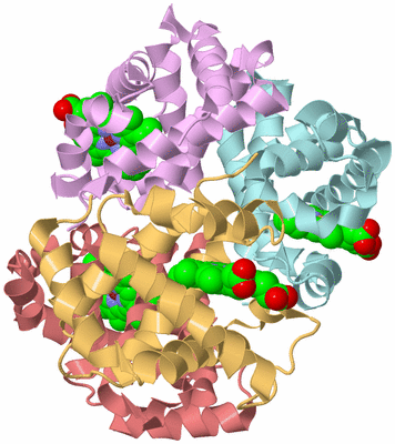 Image Biological Unit 2