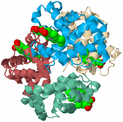 Image Biological Unit 3