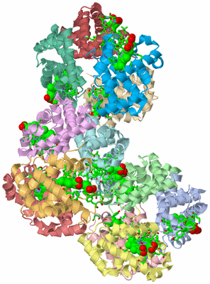 Image Asym. Unit - sites