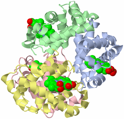 Image Biological Unit 1