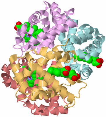 Image Biological Unit 2