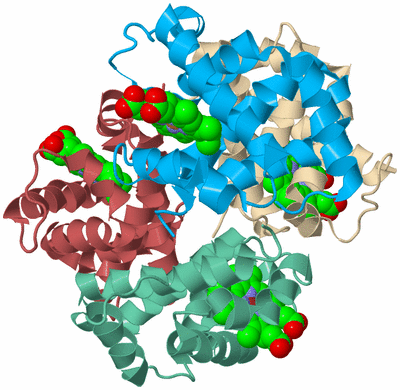 Image Biological Unit 3