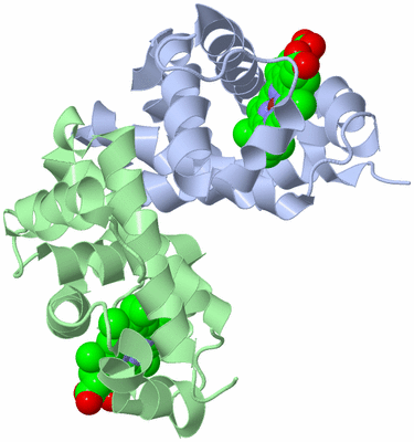 Image Biological Unit 4