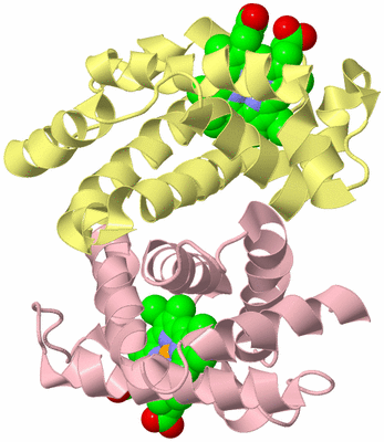 Image Biological Unit 5