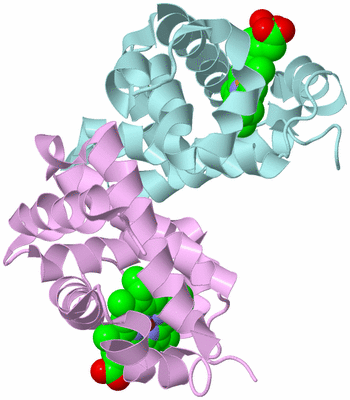 Image Biological Unit 6