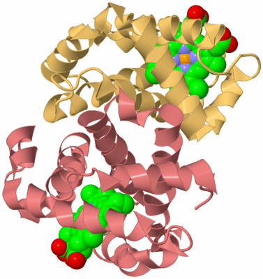 Image Biological Unit 7