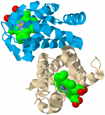 Image Biological Unit 8