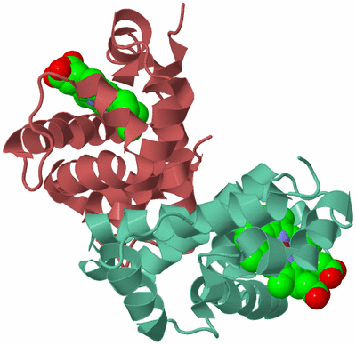 Image Biological Unit 9