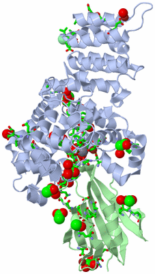 Image Biol. Unit 1 - sites