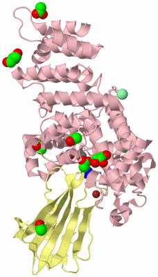 Image Biological Unit 2