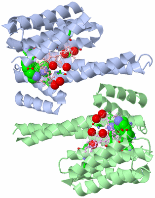 Image Asym./Biol. Unit - sites